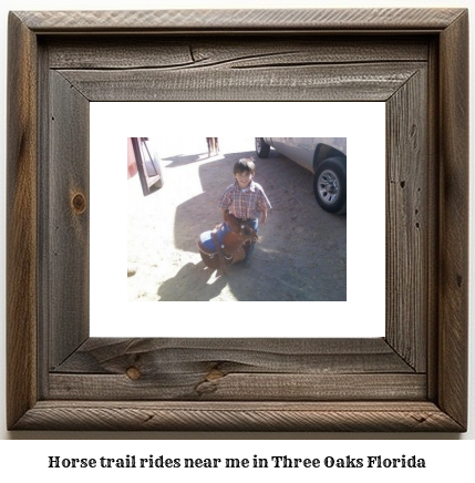 horse trail rides near me in Three Oaks, Florida